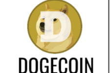 Inspired by Elon Musk, Investor becomes Dogecoin Millionaire at 33