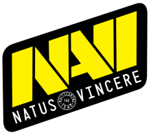 CS:GO Natus Vincere NAVI 2020