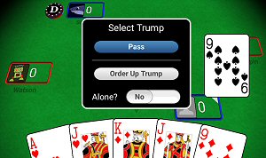 best euchre 3d android