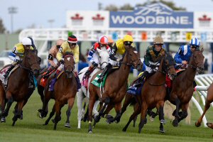 How to Bet on Horse Racing - How to Wager on Horses