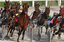 Kwartha Downs Ponders Questionable Future of Horse Racing in Ontario