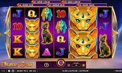 Desert Cats Slot