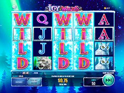 Icy Wilds Slot