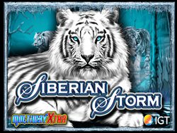 Siberian Storm Slot