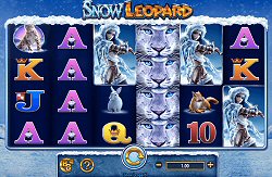 Snow Leopard Slot