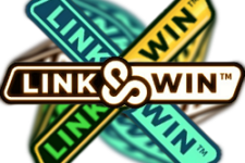 Link and Win Slots